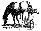 Logo Vieh-Versicherungs-Verein